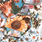 Beautiful Scenery Stickers