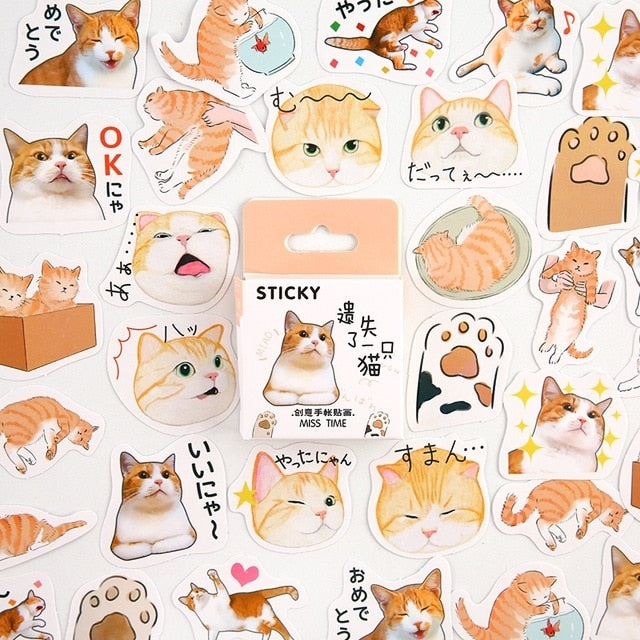 Lost Cat Stickers