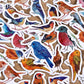 Bird Stickers