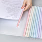 10 Piece Set Pastel A4 Transparent Folder